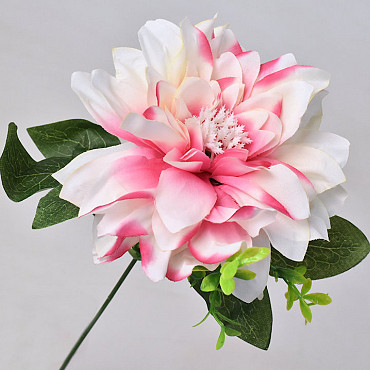 Dahlia D14cm Roze