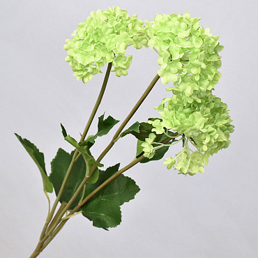 Hortensia 3pcs Groen 72cm