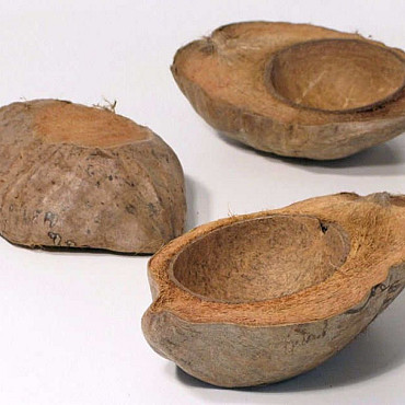 Coconut Half 13-16cm