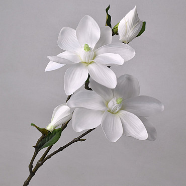 Magnolien Zweig Weiß 75cm