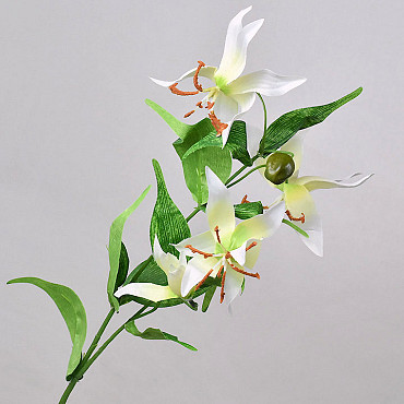 Gloriosa 70cm White