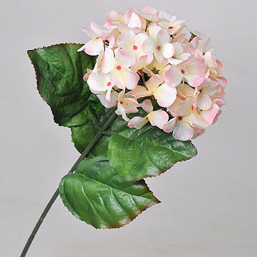 Hortensia 65cm Roze