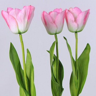 Tulipe rose 65cm