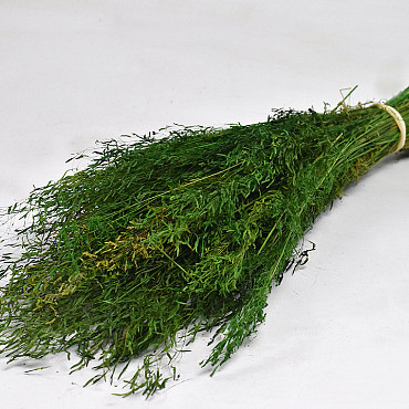 Munni Gras Grün 60cm