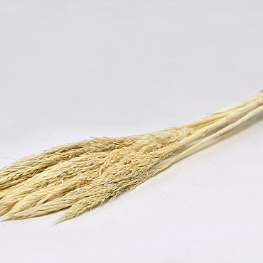 Nanal grass 75cm Bleached