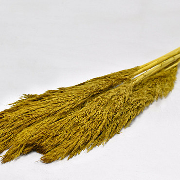 Nanal grass 75cm Ochre