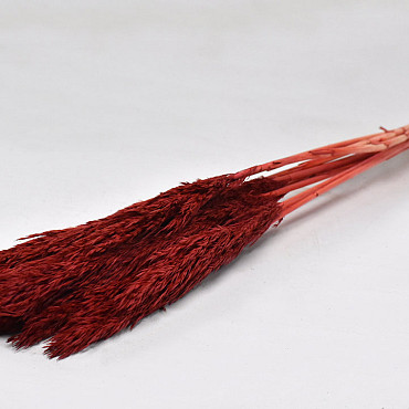 Nanal grass 75cm Red