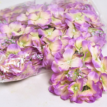Hortensia Kop D14cm Groen/Roze