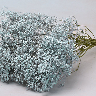 Gypsophila Blau 70cm (25 Zweige)