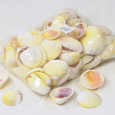 Cockles 1Kg White