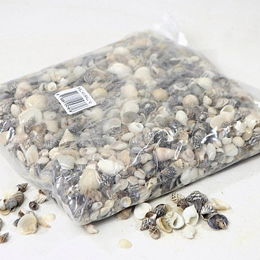 Muscheln Klein Mix  1Kg