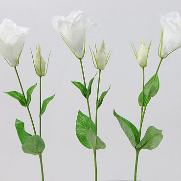Lisianthus 42cm Weiss