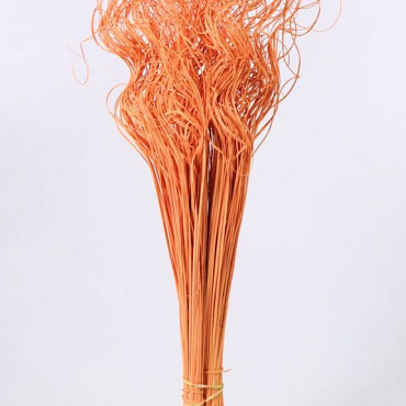 Curly Ting Orange 300 Stems