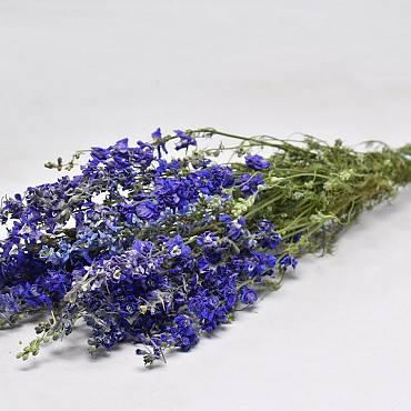 Bouquet Delphinium Bleu Mix 65cm