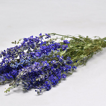 Delphinium Mix Blau 65cm