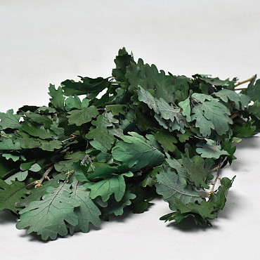 Oak Leaves Green 50-60cm