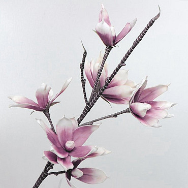 Foam Magnolia White/Lilac, D 18cm