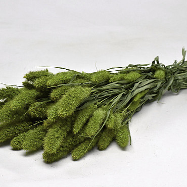 Bouquet Setaria Vert 65cm