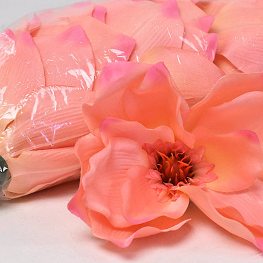 Magnolia D17cm Salmon Pink