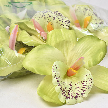 Orchidée D13cm Vert