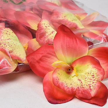 Orchidee Rood D14cm