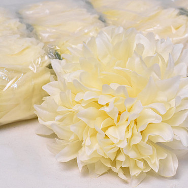 Chrysanthemum D16cm Cream