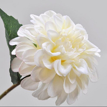 Zinnia Steel Creme 26cm