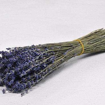 Getrockneter Lavendel 100gr.