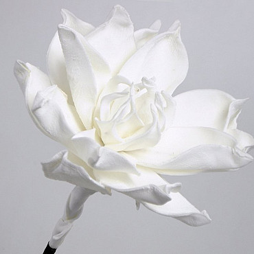 Fleur en mousse 75cm Blanc