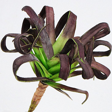 Foam Plant 25cm bruin-groen