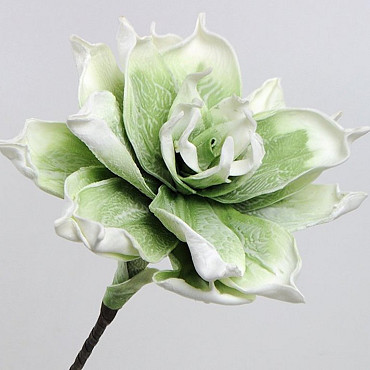 Fleur en mousse 75cm Blanc-Vert