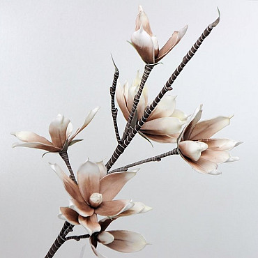 Foam Magnolia Wit/Mocca, D 18cm