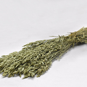 Bouquet Bromus 60cm