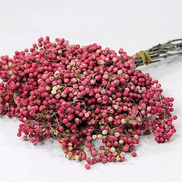 Pepperberries Rosa 25-35cm