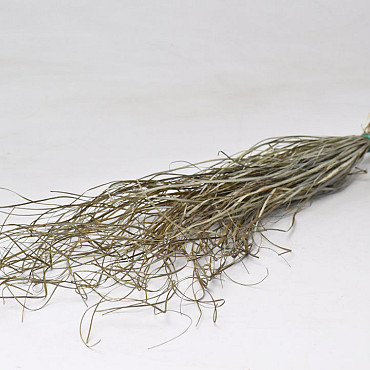Beargrass 70cm, +/-75gr.