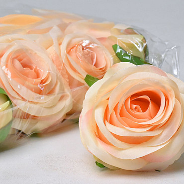 Rose D9cm Peach Orange 