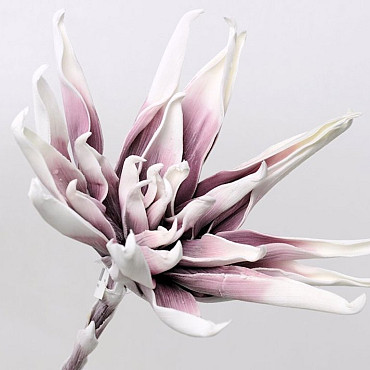 Foam Flower White/Lilac, D 35cm
