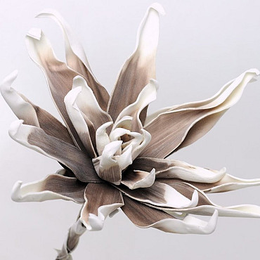 Blume Schaumstoff Weiß/Mocca, D 35cm