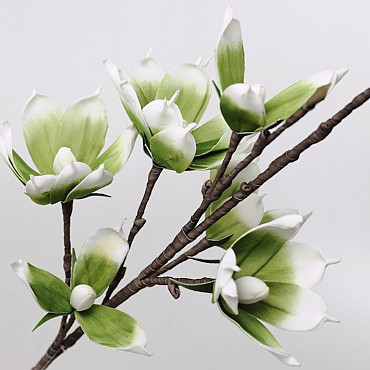 Magnolia en mousse Blanc/Vert, D 18cm