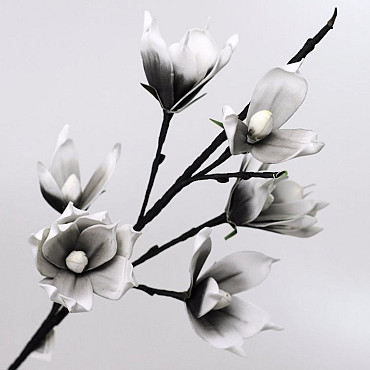 Foam Magnolia White/Charcoal, D 18cm