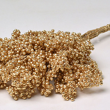 Pepperberries Goud 35cm
