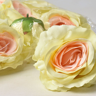 Rose Jaune Pastel/Saumon D10cm 