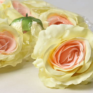 Rose Pastel Yellow/Salmon D10cm 