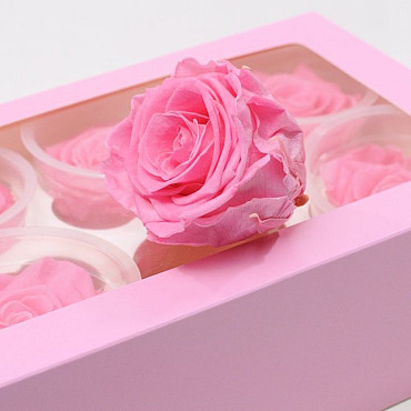 Roses préservé 6cm baby pink