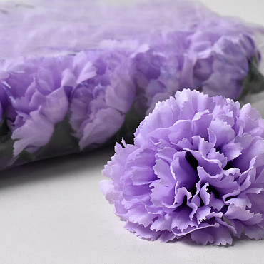Carnation D9cm Lilac