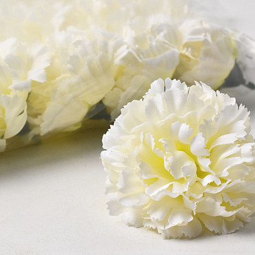 Carnation D9cm White/Yellow