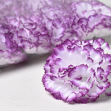 Carnation D9cm White/Purple