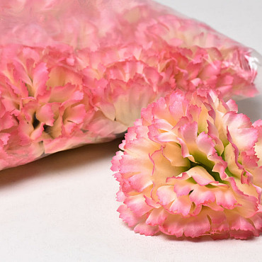 Carnation D9cm Pink/Yellow