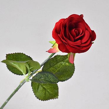 Rose Rouge Velours artificielle D6cm L42cm
