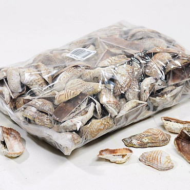 Shells Peanut 1kg